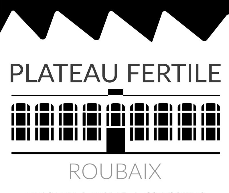 Plateau fertile